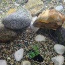 섬진강어류생태관 이미지