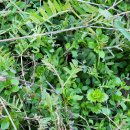 세동농장 이미지