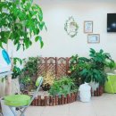 진메디칼의원 이미지