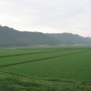 대동면사무소 이미지