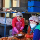 대통령비서실 아이뉴스24