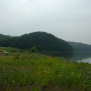 남한강 도리 이미지