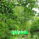 숲속 - 동두천시 중앙로 308 | 숲속