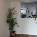 삼대한채 이미지