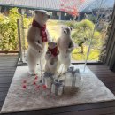 세레니티골프앤리조트 이미지