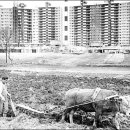 강남문화사 - 강릉시 | 강남문화사