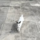 토산1리농촌체험휴양마을 이미지