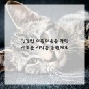 빛나는내일