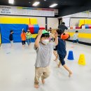 경희대 신성 태권도장 이미지