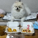 견식도락 부산시청점