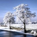 이종수의 즐거운 노래세상 이미지