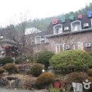 숲속의궁전 이미지