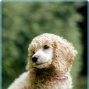 행운동물병원 이미지