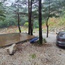 왕피천 숲속 캠핑장 이미지