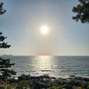 힐링되는 아름다운 소리, 칼림바 | [충남/보령] 아름다운 자연과 함께한 죽도 상화원 방문후기 2편(2025.11.29.)