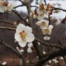 샘마을 경로당 이미지