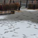 면목천로 어르신 쉼터 이미지