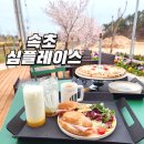 속초 브런치 카페 심플레이스 분위기 좋은 피자 맛집
