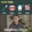 엠에스마트 | 임플란트 안 하려면 지금 당장 시작해야 할 올바른 양치법! (ft. 치과의사 박창진)