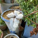 유목정쉼터 이미지