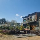 빵드마망 이미지