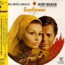 해바라기 Sunflower, 1970 이탈리아, 프랑스, 러시아 | 드라마 | 15세이상관람가 | 101분 이미지