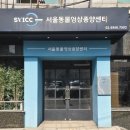 로얄동물암치료센터 | 강아지 비강종양 헬릭스 서울동물영상종양센터 예약부터 방사선치료 모의치료까지