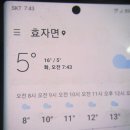 장거리 두곳 산황버섯 산행.135 (서리버섯 나옴) 이미지