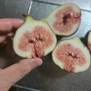 청지지 | 제철이라 더 달게 느껴진 청무화과 생과 후기