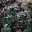 황전(순천) 이미지