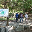 나리 신령수 이미지