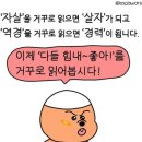 조박사 이미지