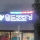 월드크리닝진해남문시티프라디움점