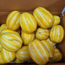 시원하다 이미지