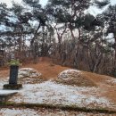 청송심씨 묘역 | [서울 은평구] 영산군 이전 묘역, 숙용 심씨 묘표