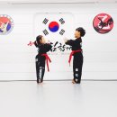 드림태권도전문도장 이미지