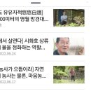 마음의 평화와 위로, 치유가 필요할 때 "kbs -자연의 철학자들" 이미지