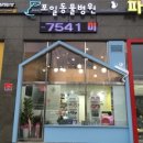 펫가든 동물병원 이미지