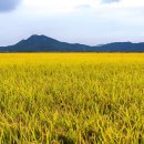 봄여름가을겨울(춘하추동) 이미지