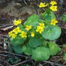 청태산자연휴양림 이미지