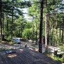 나무새 관광농원 이미지