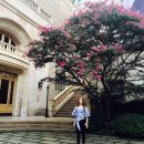 레미라움 이미지