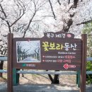 시청별관앞 꽃보라동산 이미지