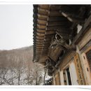 백운산 신촌 이미지