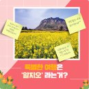 투어 365 여행사