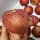 용현농장 이미지