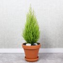 남동화원 이미지