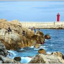 동선축산 이미지