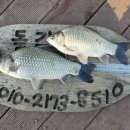 연론낚시터 이미지