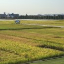 지에스(GS)25 수원서둔점 이미지